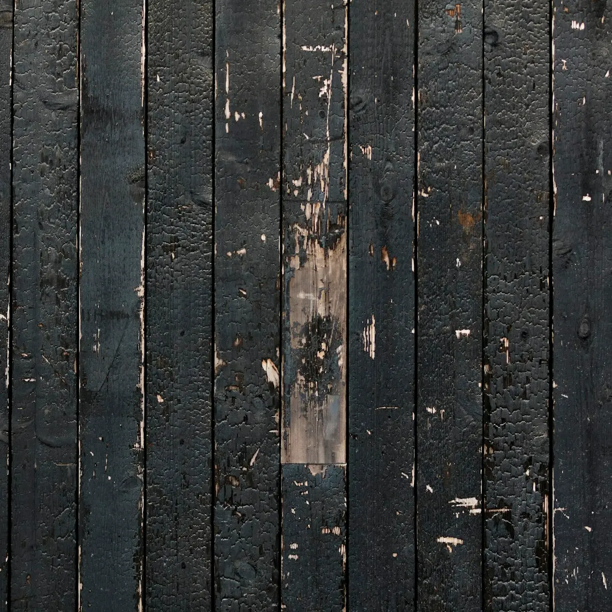 Charred timber palings with flaking char