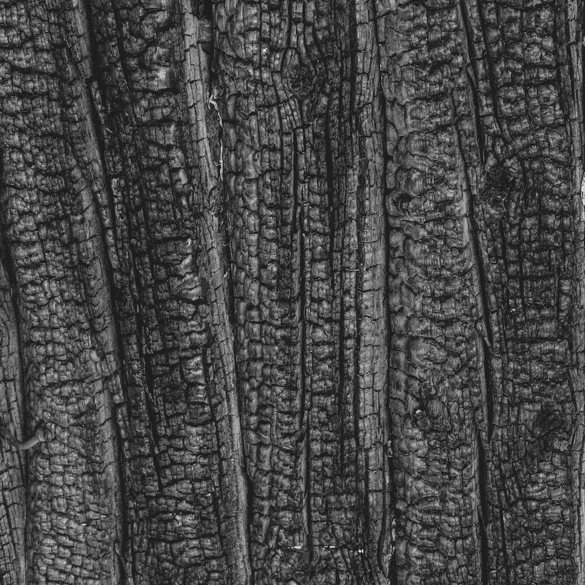 Brushed charred timber cladding with vertical grain