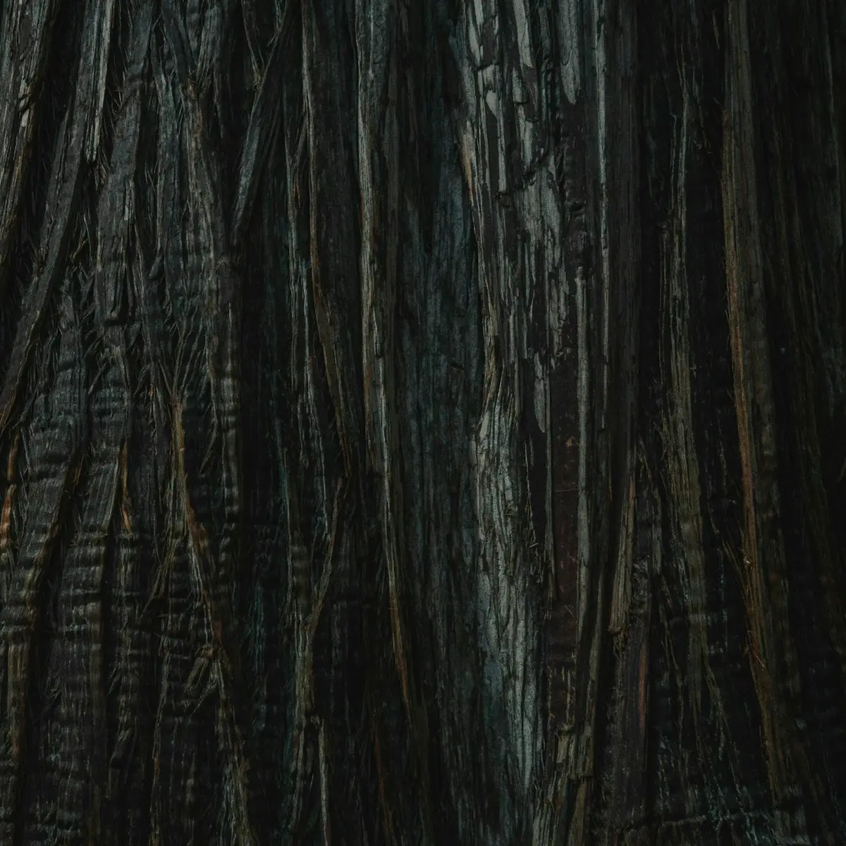 Charred ironbark with umber veining