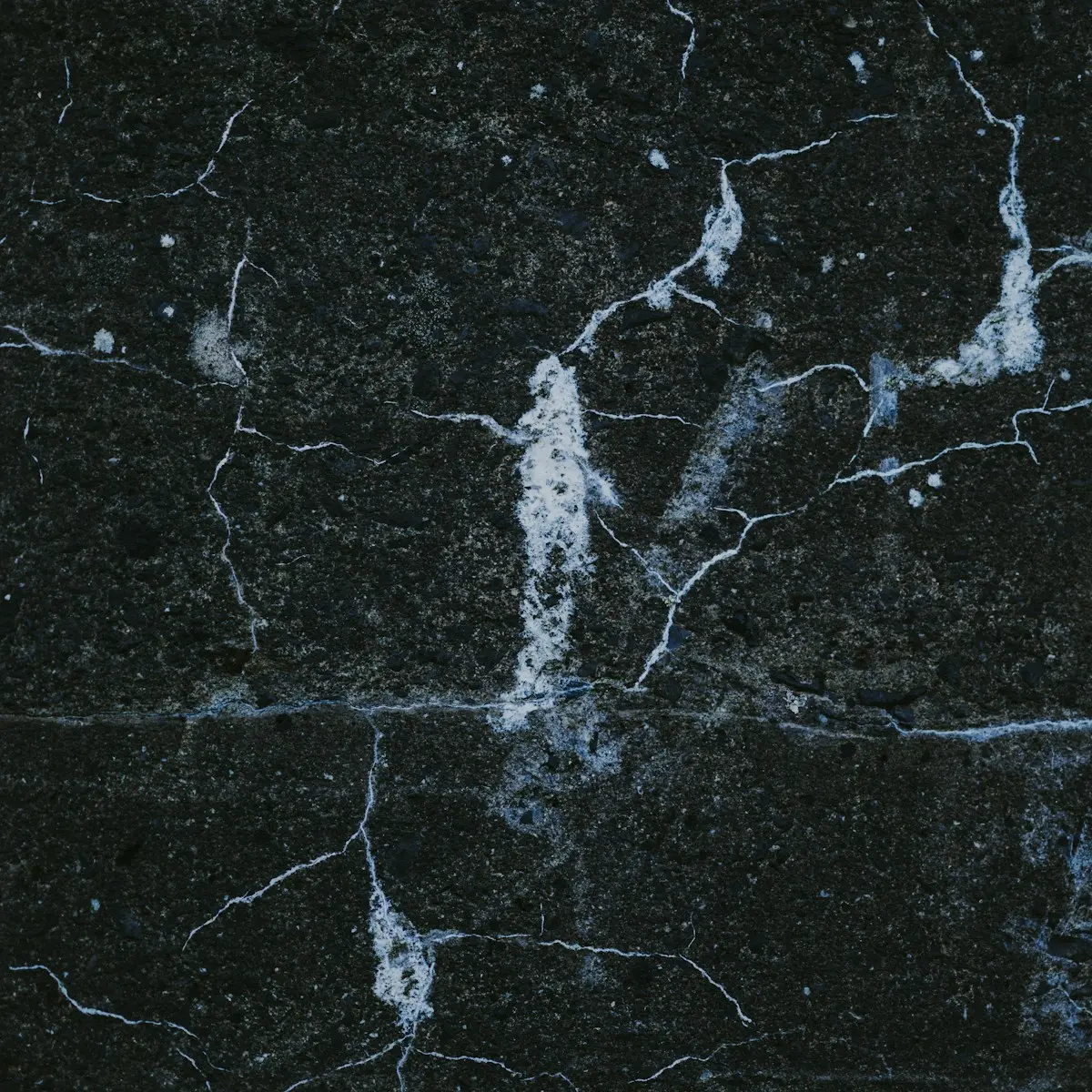 Fractured black stone with white calcite veins