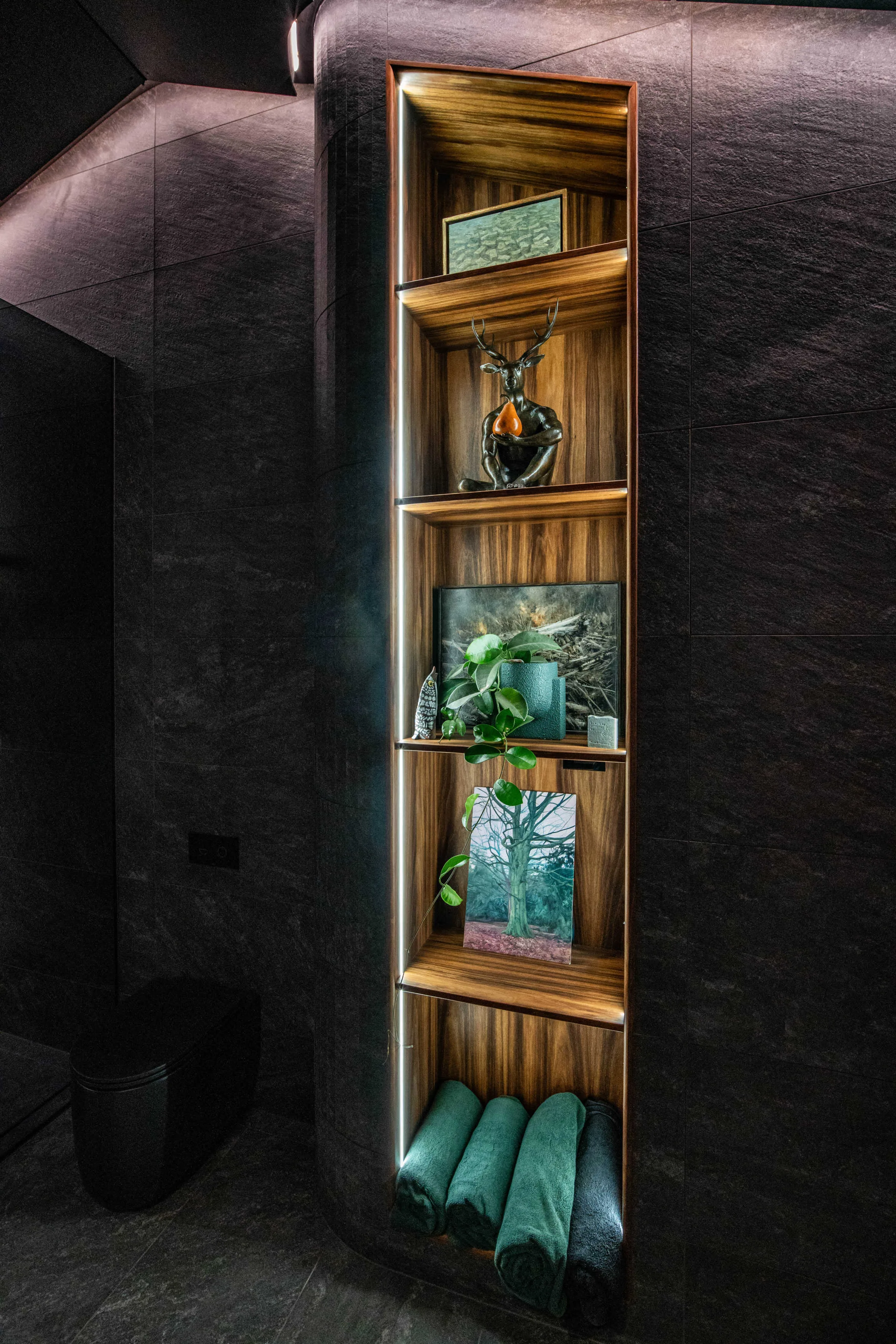 The Waverley Bathroom, Bellerive — Interior by Darkitecture (image 6 of 15)